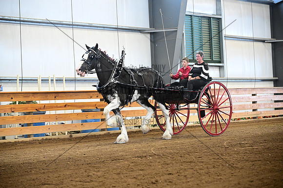 AJB_0257