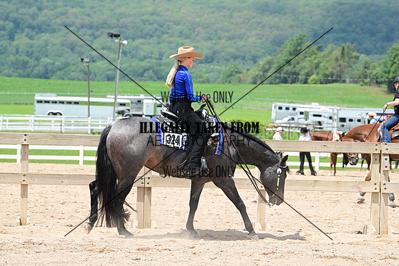 AJB_2198