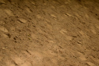 AJB_1061