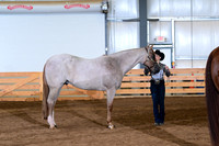 AJB_0964