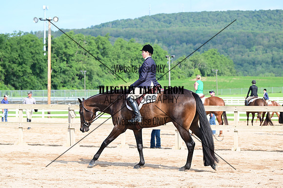 AJB_3897