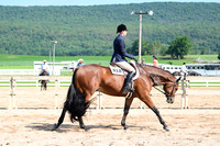 AJB_3916