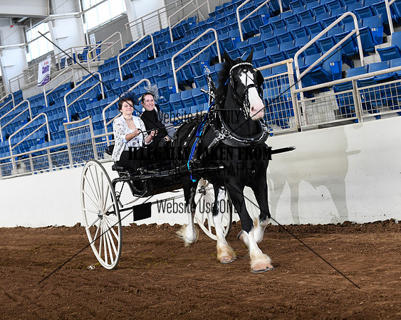 shires_6103