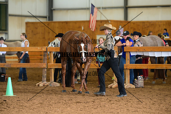 AJB_0229