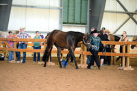 AJB_0263