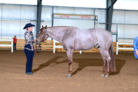 AJB_0260