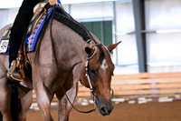 AJB_5570