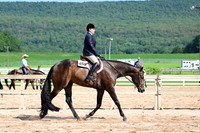 AJB_3923