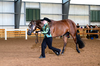 AJB_0594