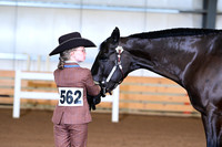AJB_0739