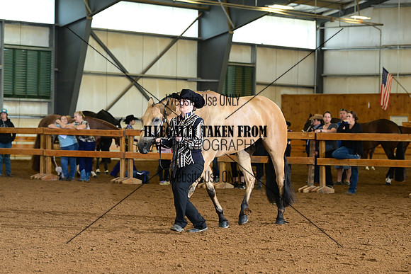 AJB_0088