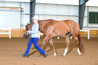 AJB_0049