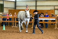 AJB_0199