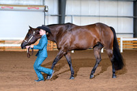 AJB_0563