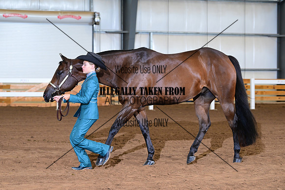 AJB_0563