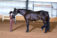 AJB_0738
