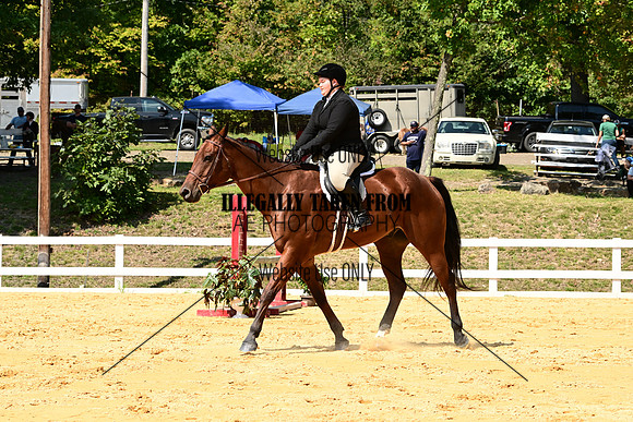 AJB_0677