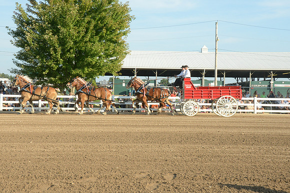 Six Horse Hitch-11