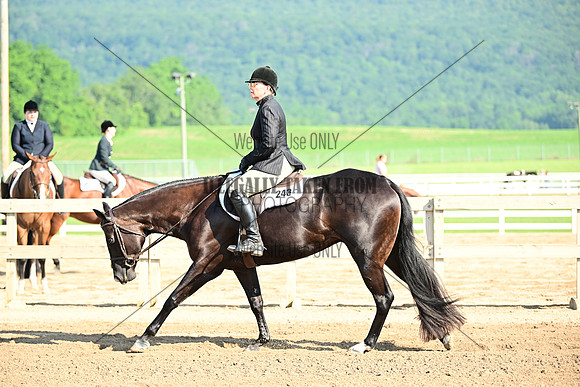 AJB_8838