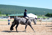 AJB_3968
