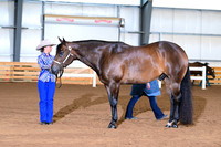 AJB_0588