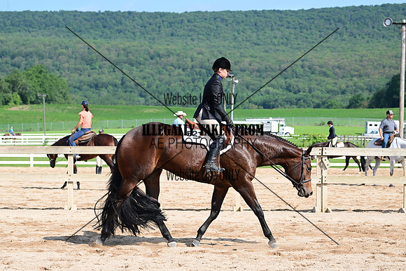 AJB_3925