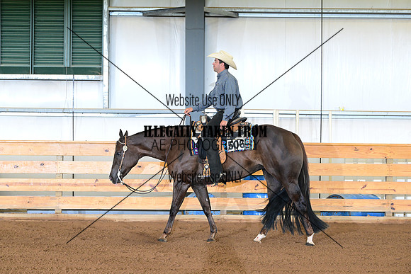 AJB_6186