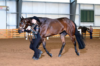 AJB_0637