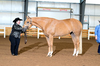 AJB_0097