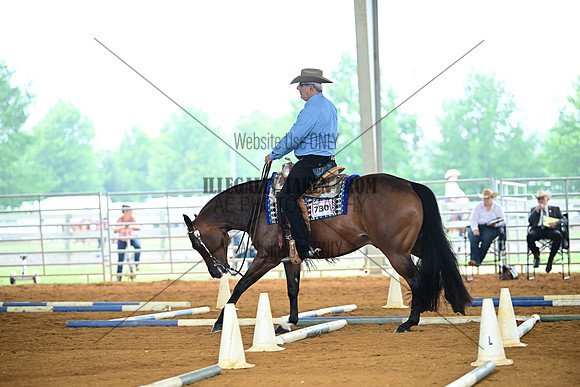AJB_0679