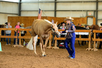 AJB_0219