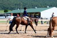 AJB_3971