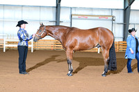 AJB_0193