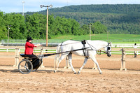 AJB_3454