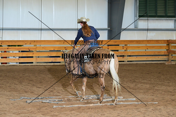 AJB_4651