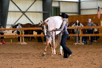 AJB_0378
