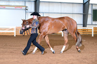 AJB_0654