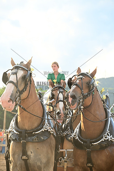 AJB_0737