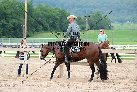 AJB_2097