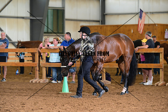AJB_0682