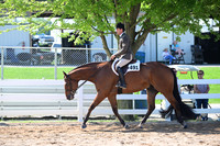 AJB_4094