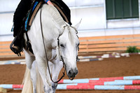 AJB_5645