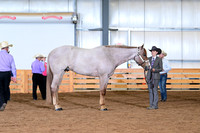 AJB_0955