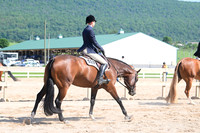 AJB_4118