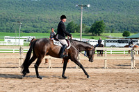 AJB_3617