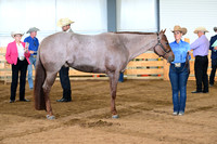 AJB_0986