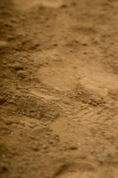 AJB_1048