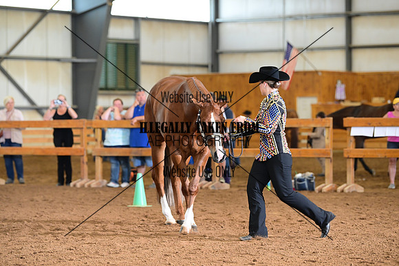 AJB_0651