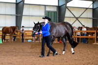 AJB_0472
