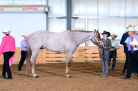 AJB_0954